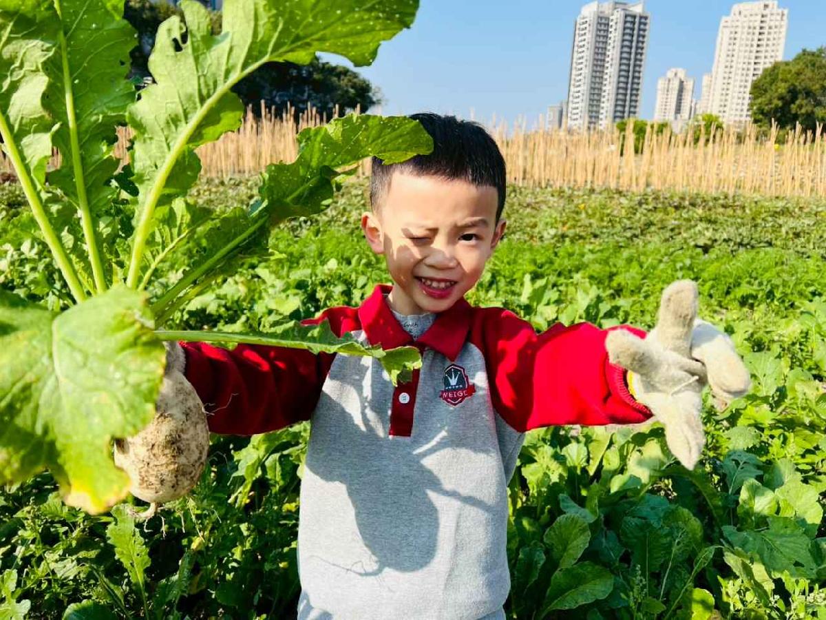 line_album_永哥農莊_260109_209