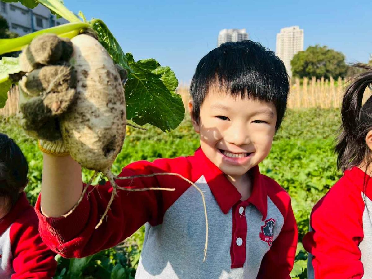 line_album_永哥農莊_260109_216