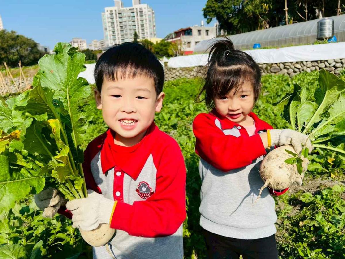 line_album_永哥農莊_260109_235