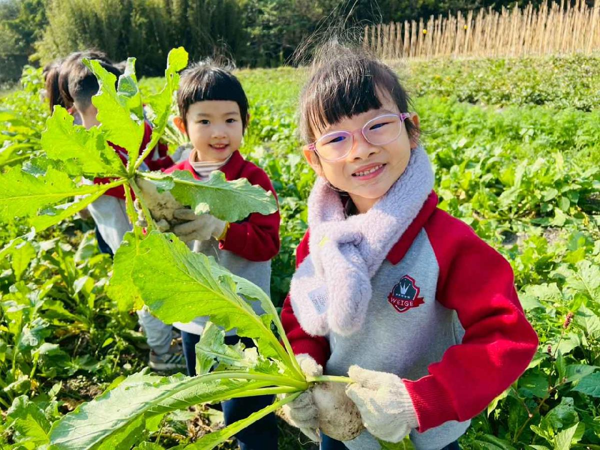 line_album_永哥農莊_260109_236