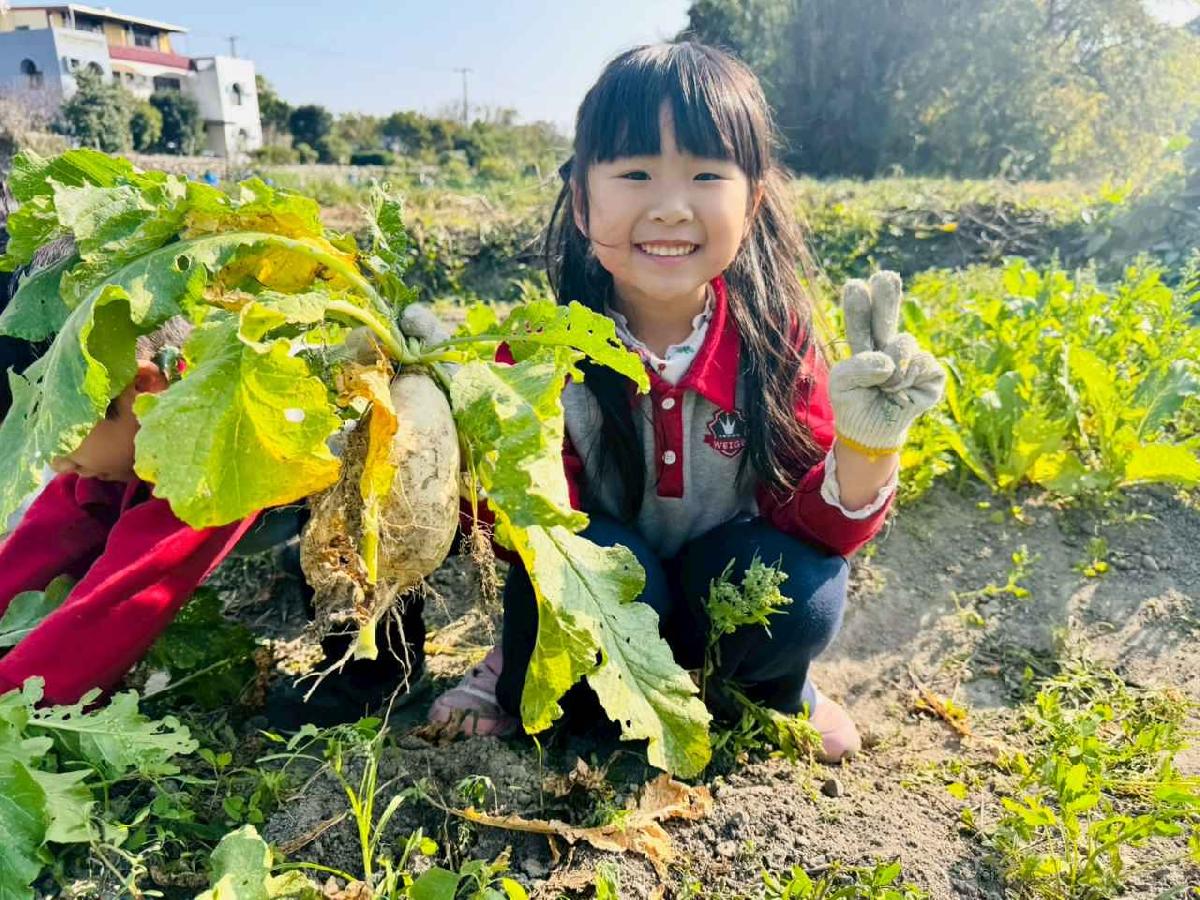 line_album_永哥農莊_260109_319