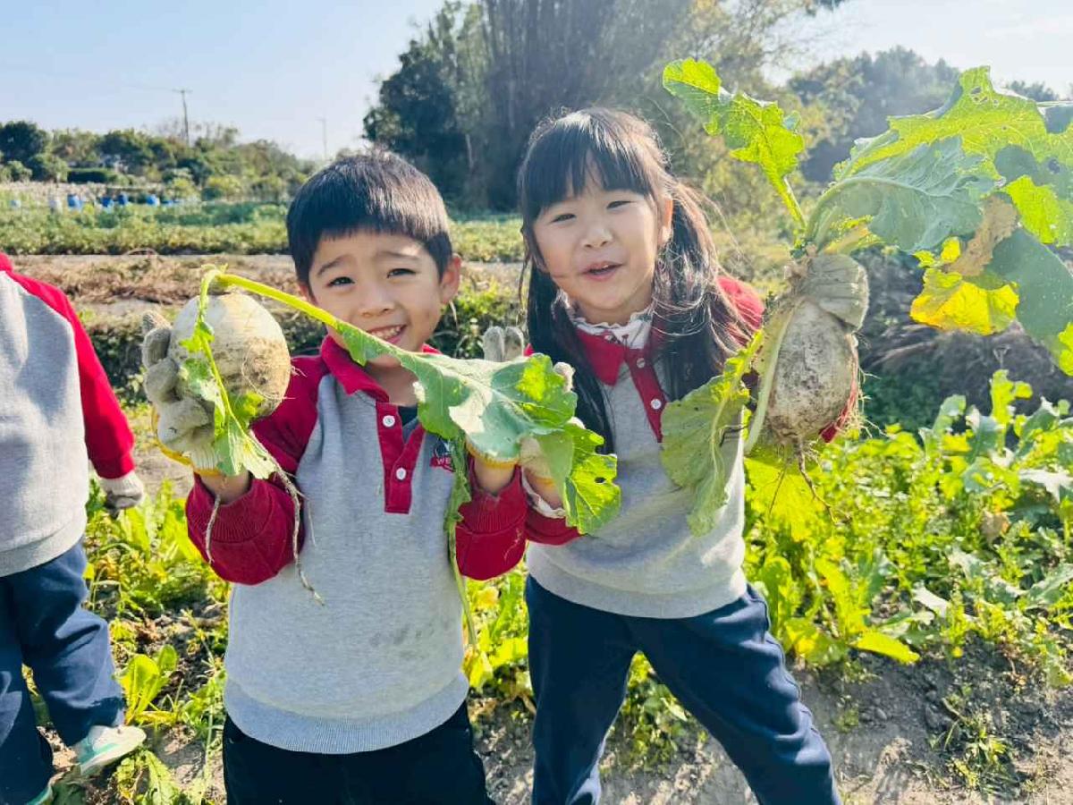 line_album_永哥農莊_260109_324