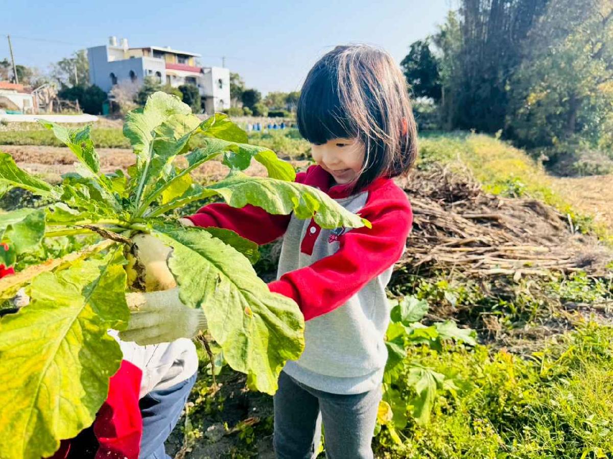 line_album_永哥農莊_260109_355