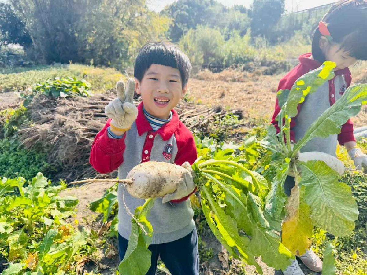 line_album_永哥農莊_260109_367