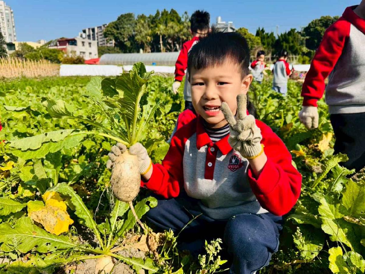 line_album_永哥農莊_260109_373