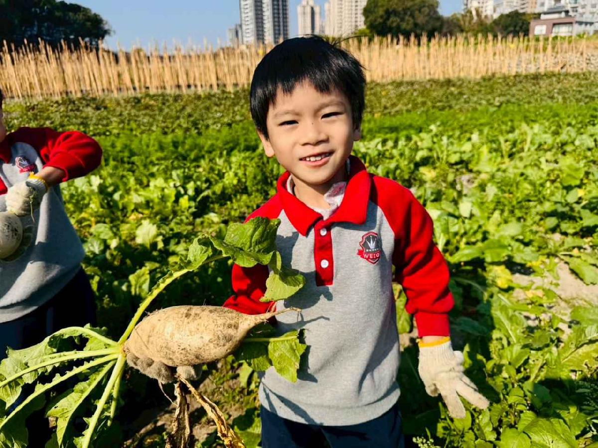 line_album_永哥農莊_260109_419