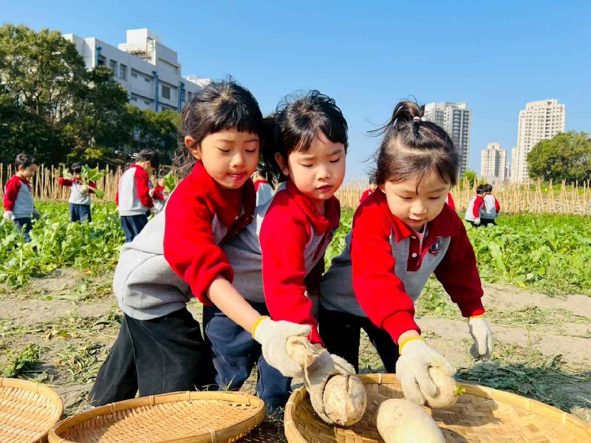 line_album_永哥農莊_260109_221