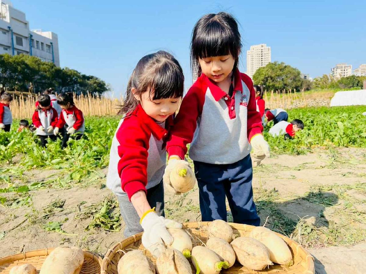 line_album_永哥農莊_260109_225