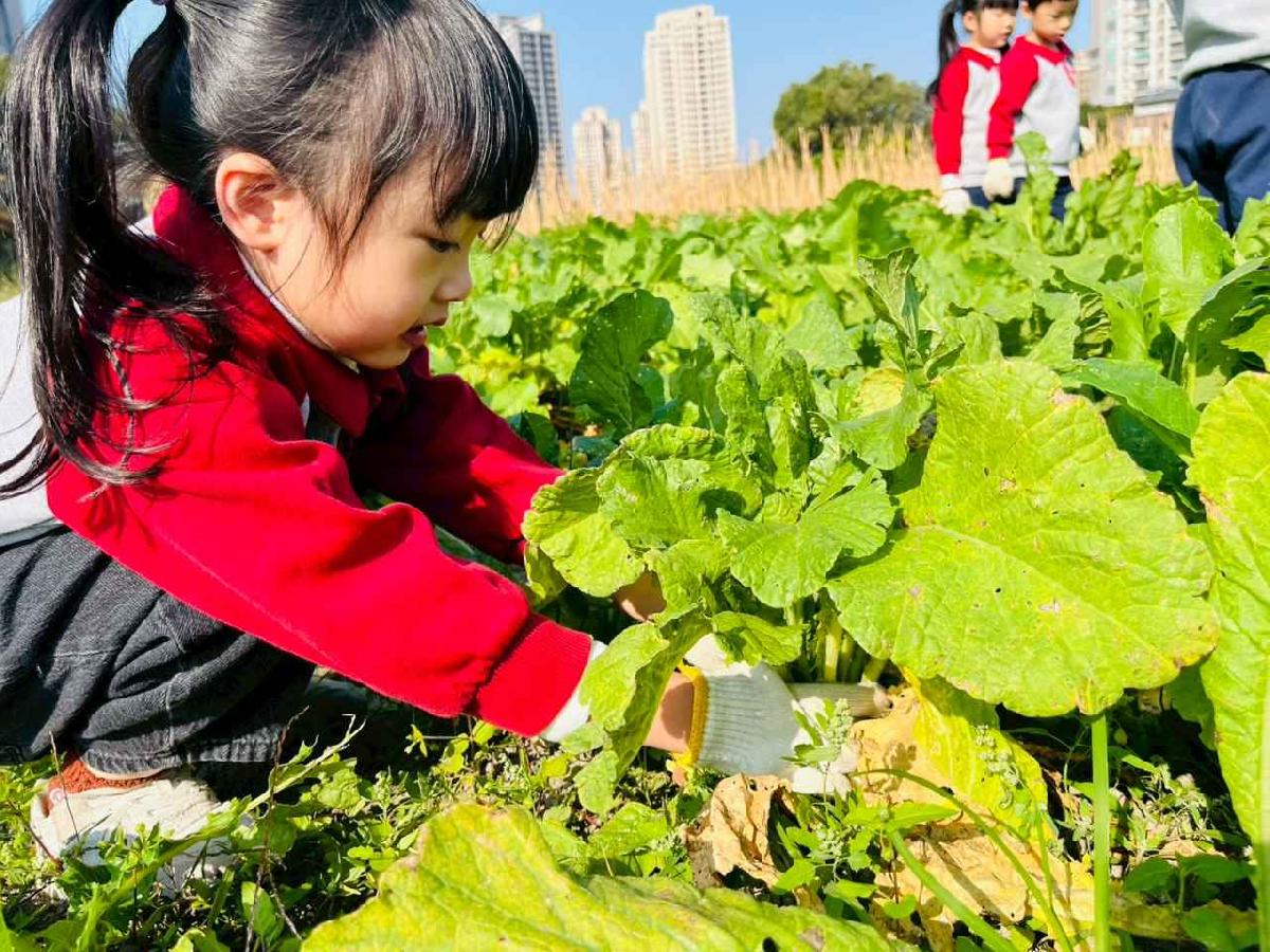 line_album_永哥農莊_260109_66