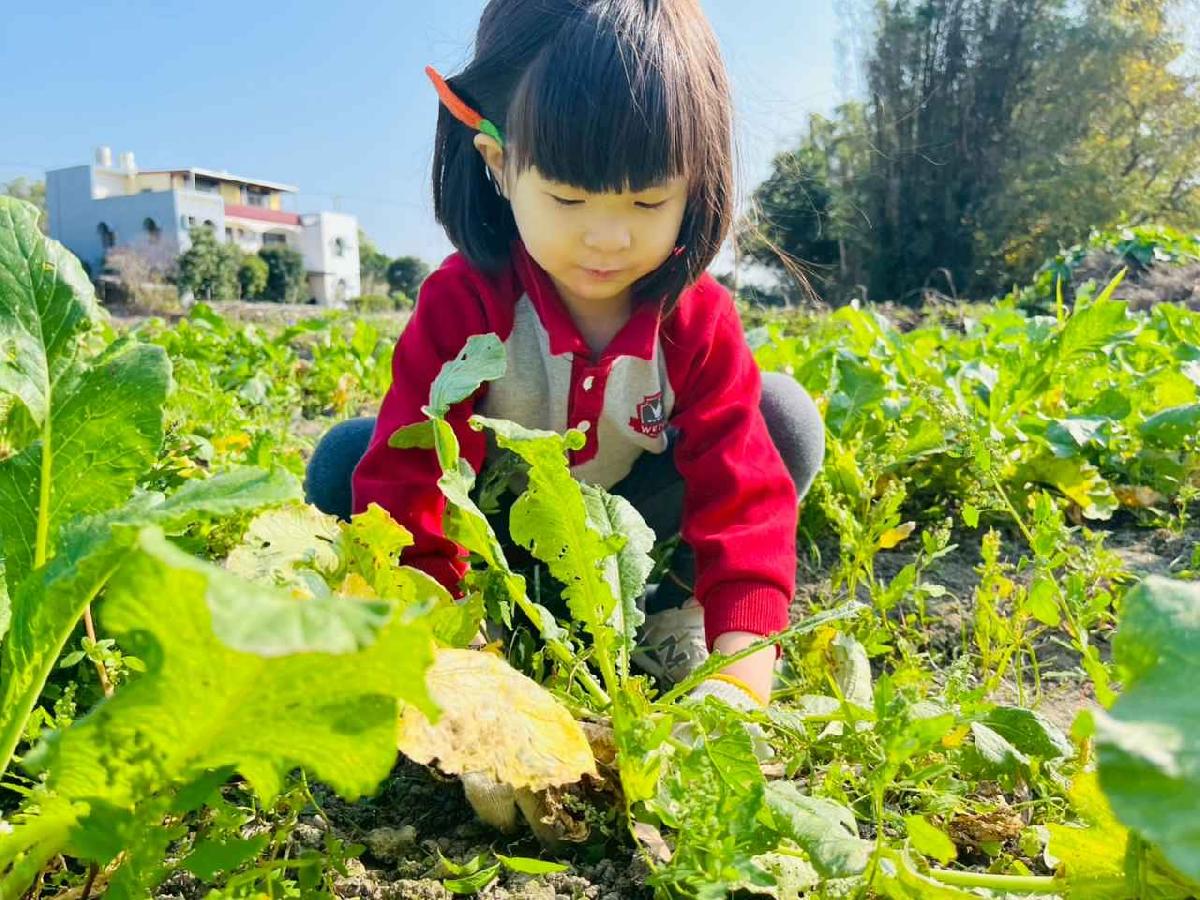 line_album_永哥農莊_260109_70