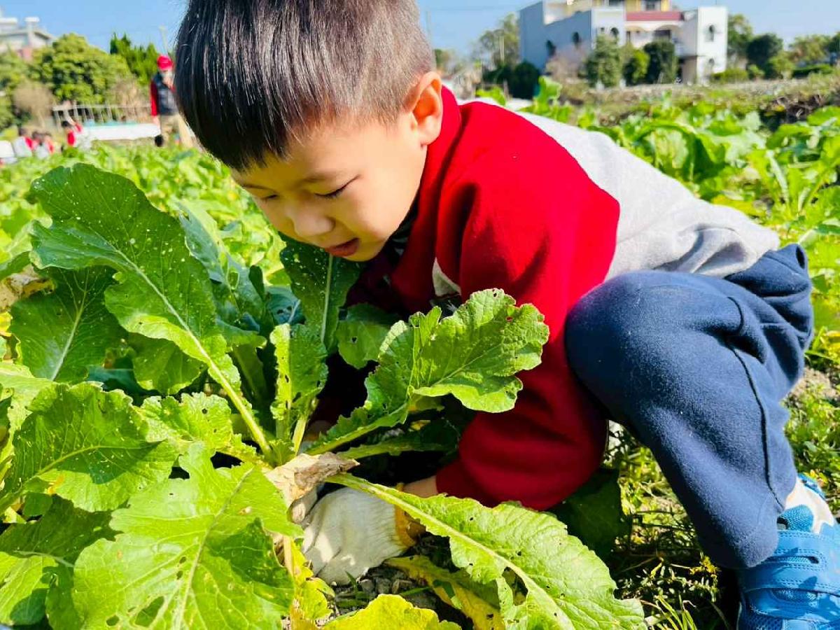 line_album_永哥農莊_260109_58