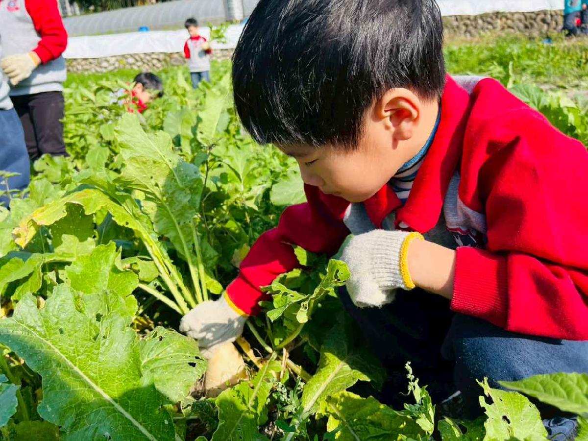 line_album_永哥農莊_260109_73