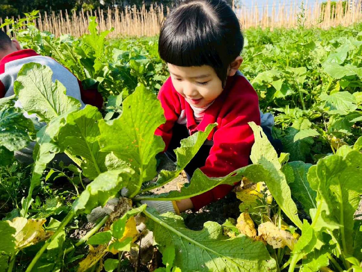 line_album_永哥農莊_260109_77