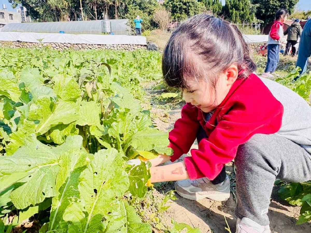 line_album_永哥農莊_260109_120