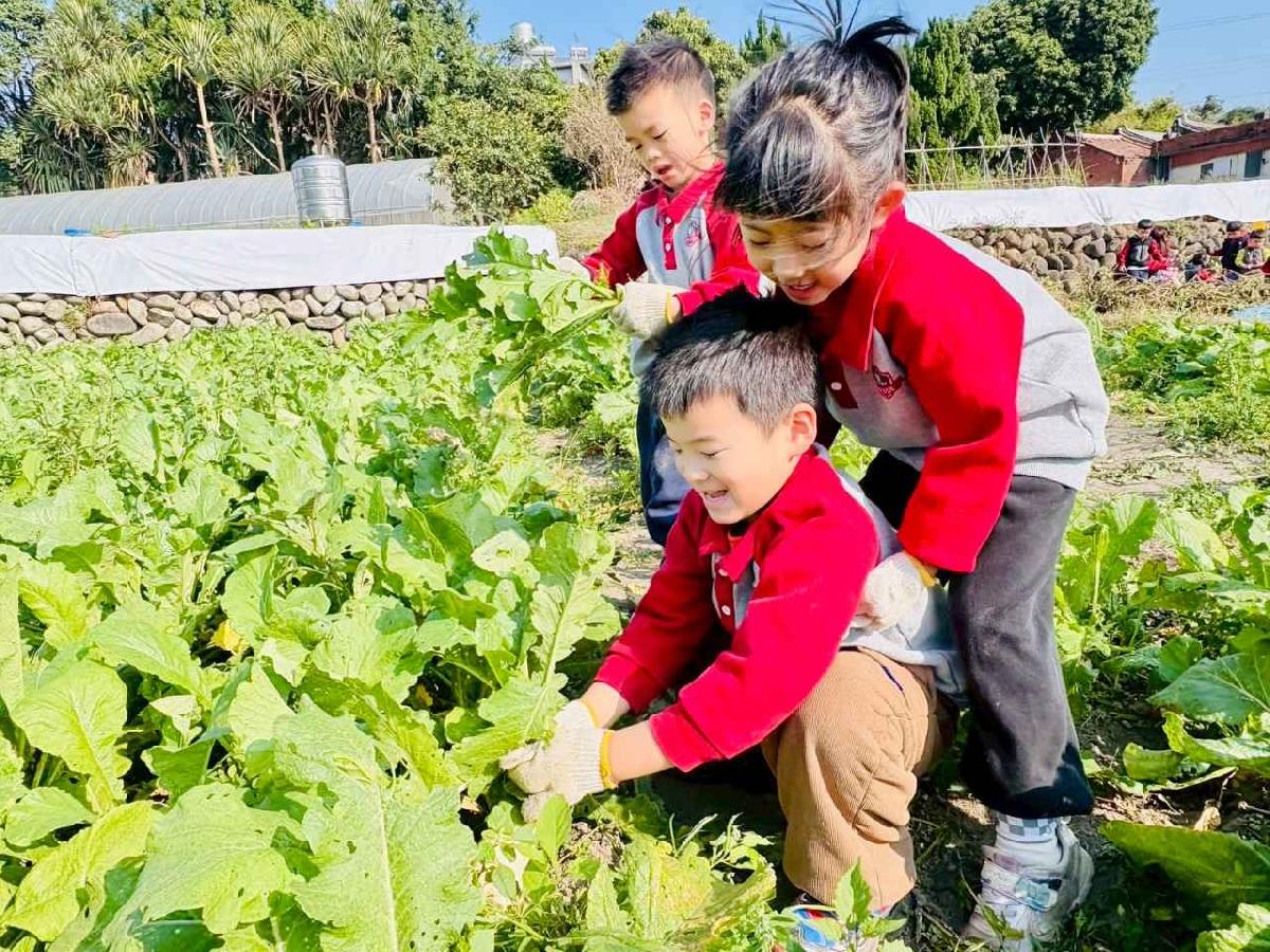 line_album_永哥農莊_260109_123