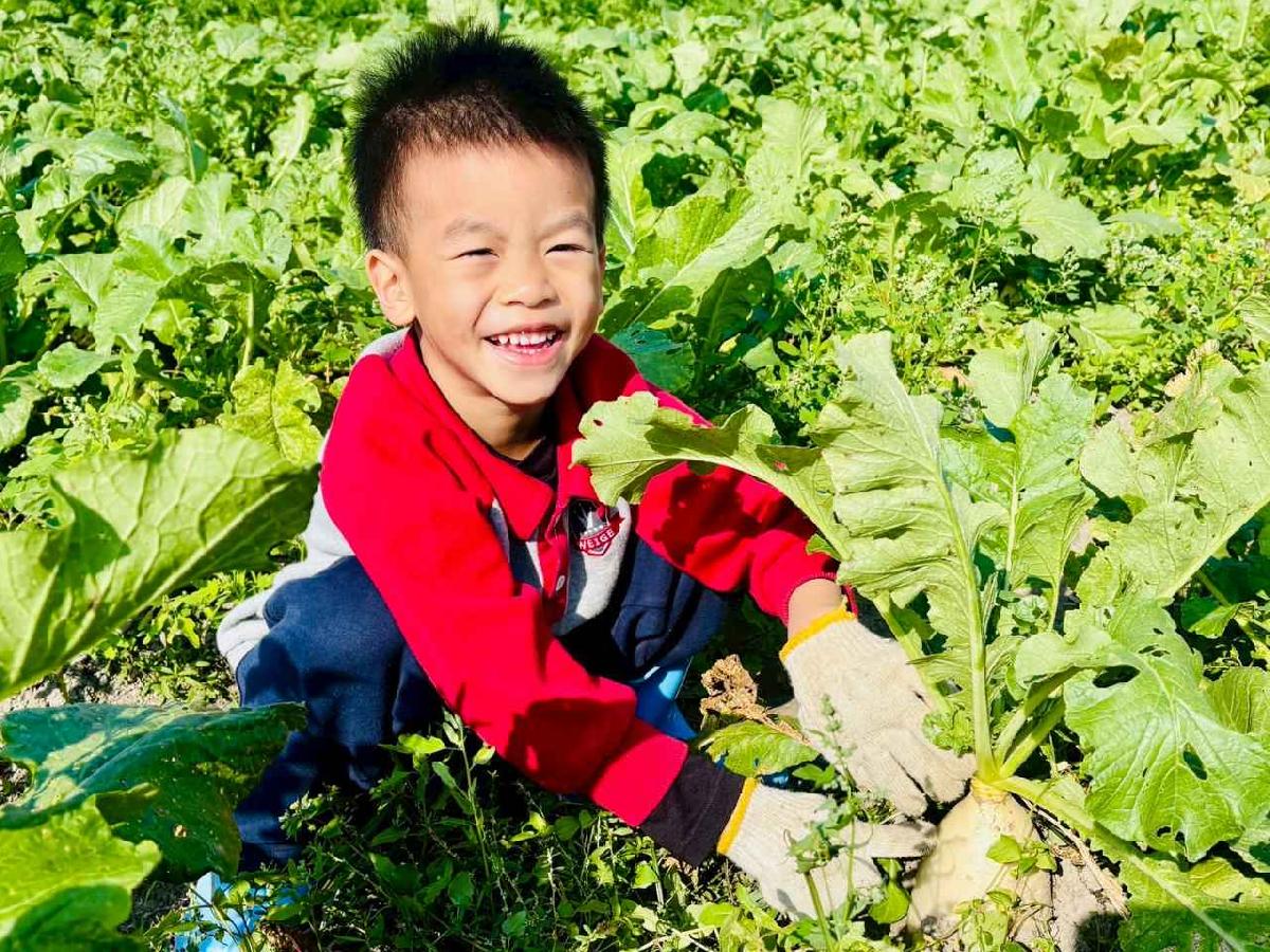 line_album_永哥農莊_260109_125