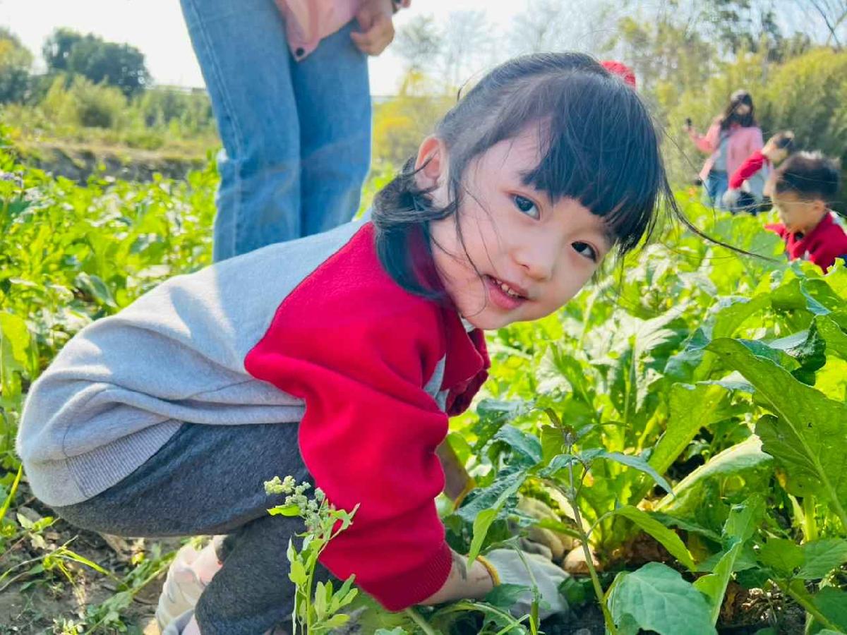 line_album_永哥農莊_260109_193