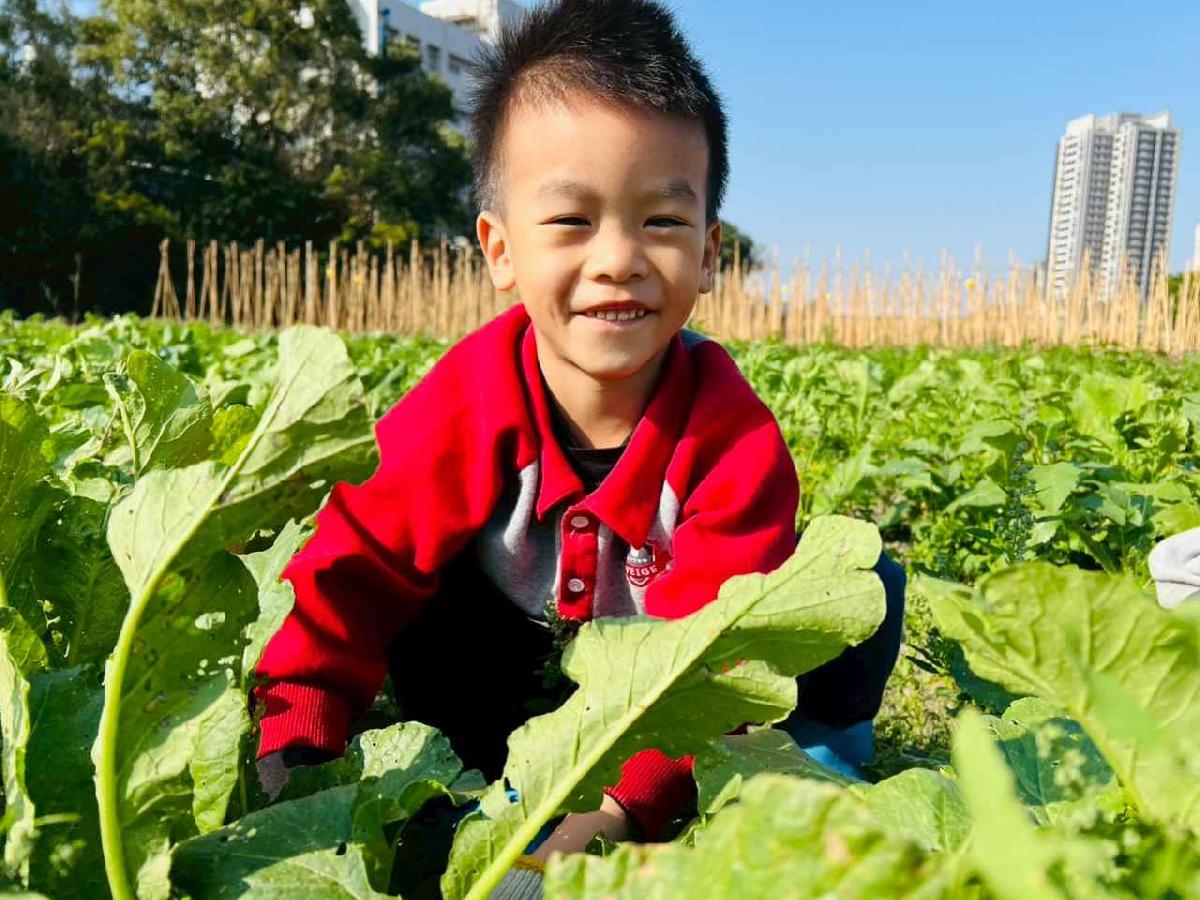 line_album_永哥農莊_260109_194