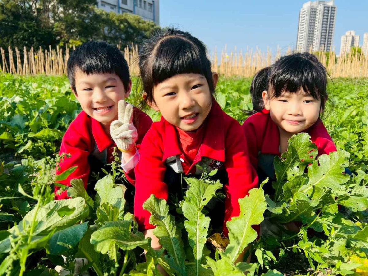 line_album_永哥農莊_260109_198