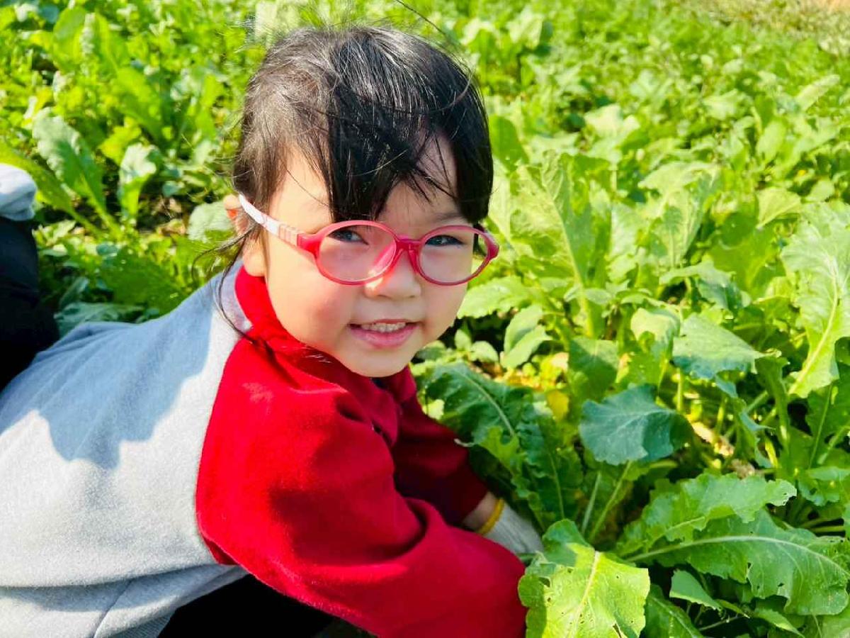 line_album_永哥農莊_260109_204