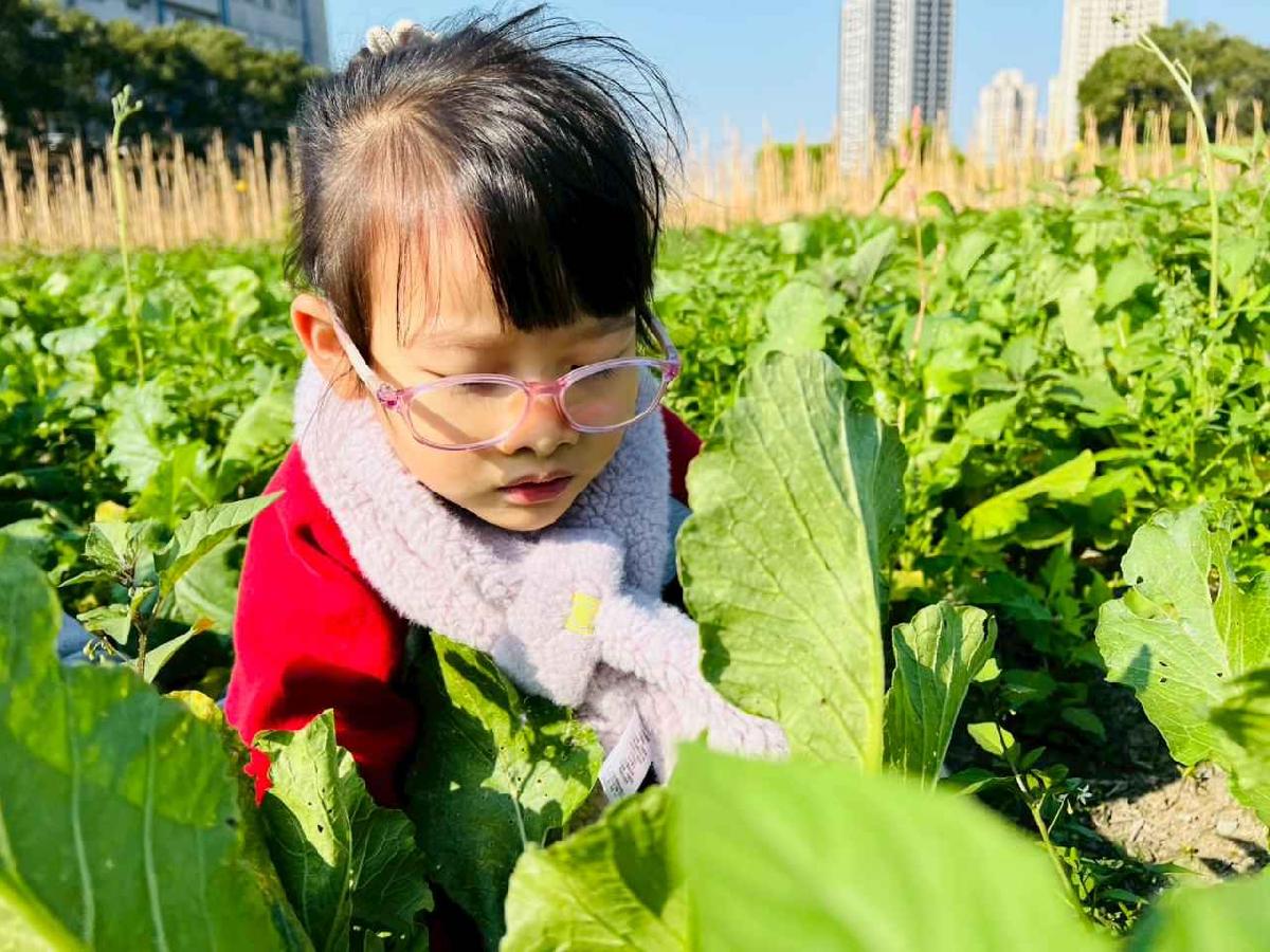 line_album_永哥農莊_260109_230