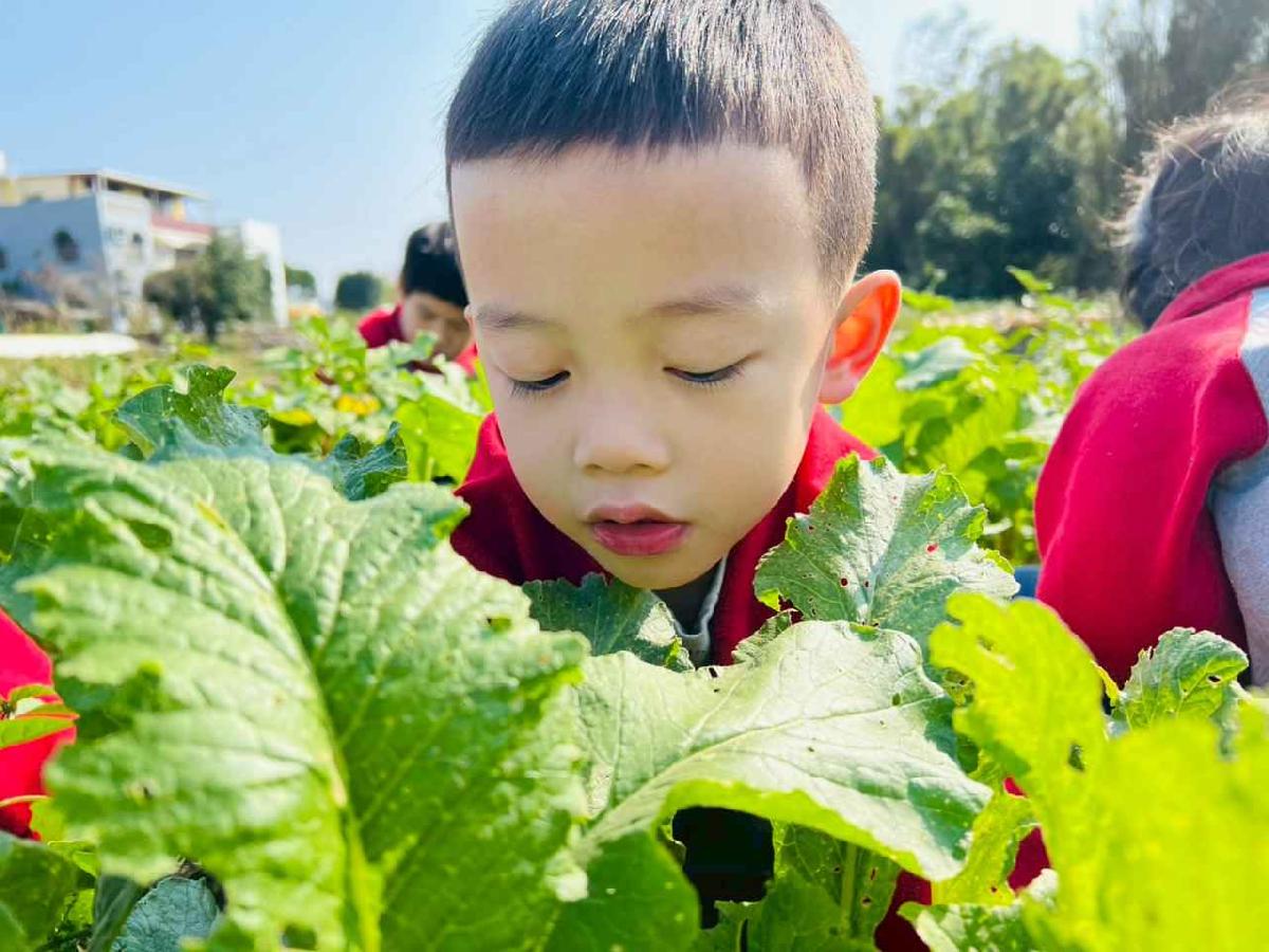 line_album_永哥農莊_260109_231