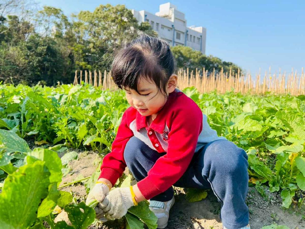 line_album_永哥農莊_260109_238