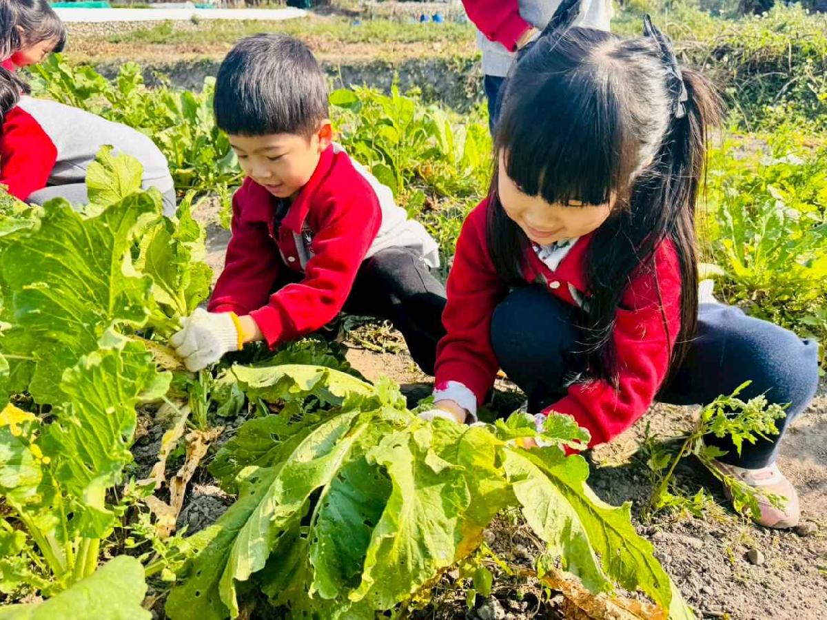 line_album_永哥農莊_260109_314