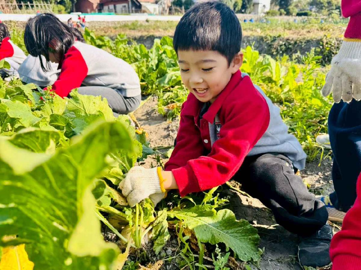 line_album_永哥農莊_260109_315