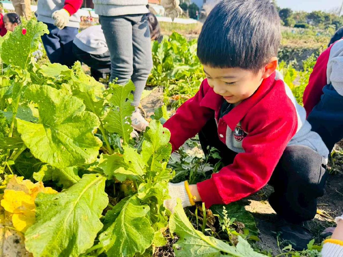 line_album_永哥農莊_260109_317