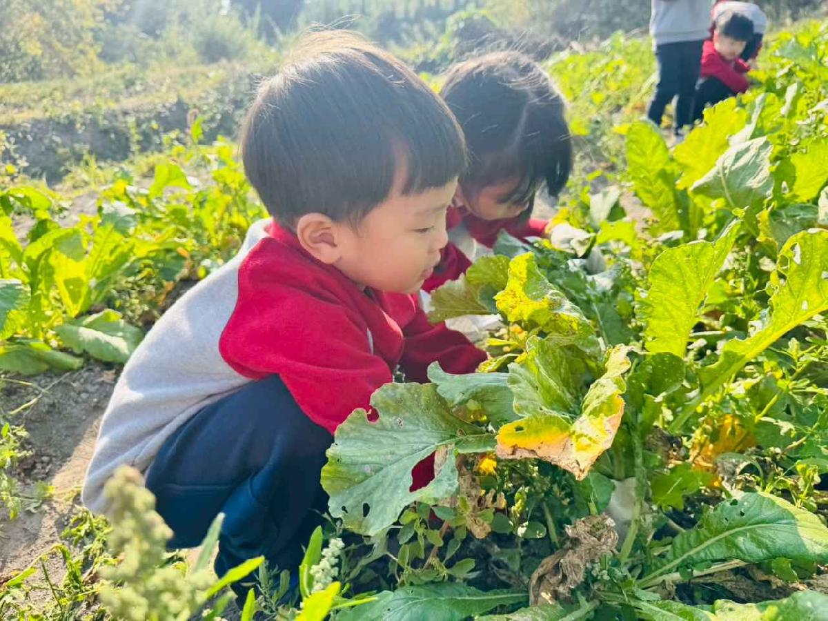 line_album_永哥農莊_260109_330