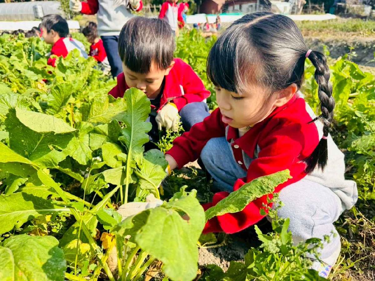 line_album_永哥農莊_260109_334