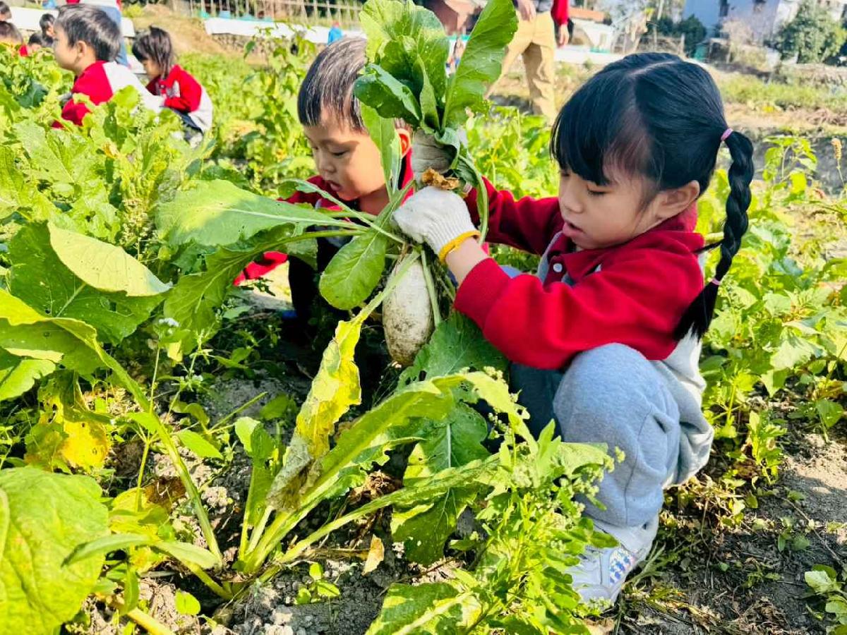 line_album_永哥農莊_260109_336