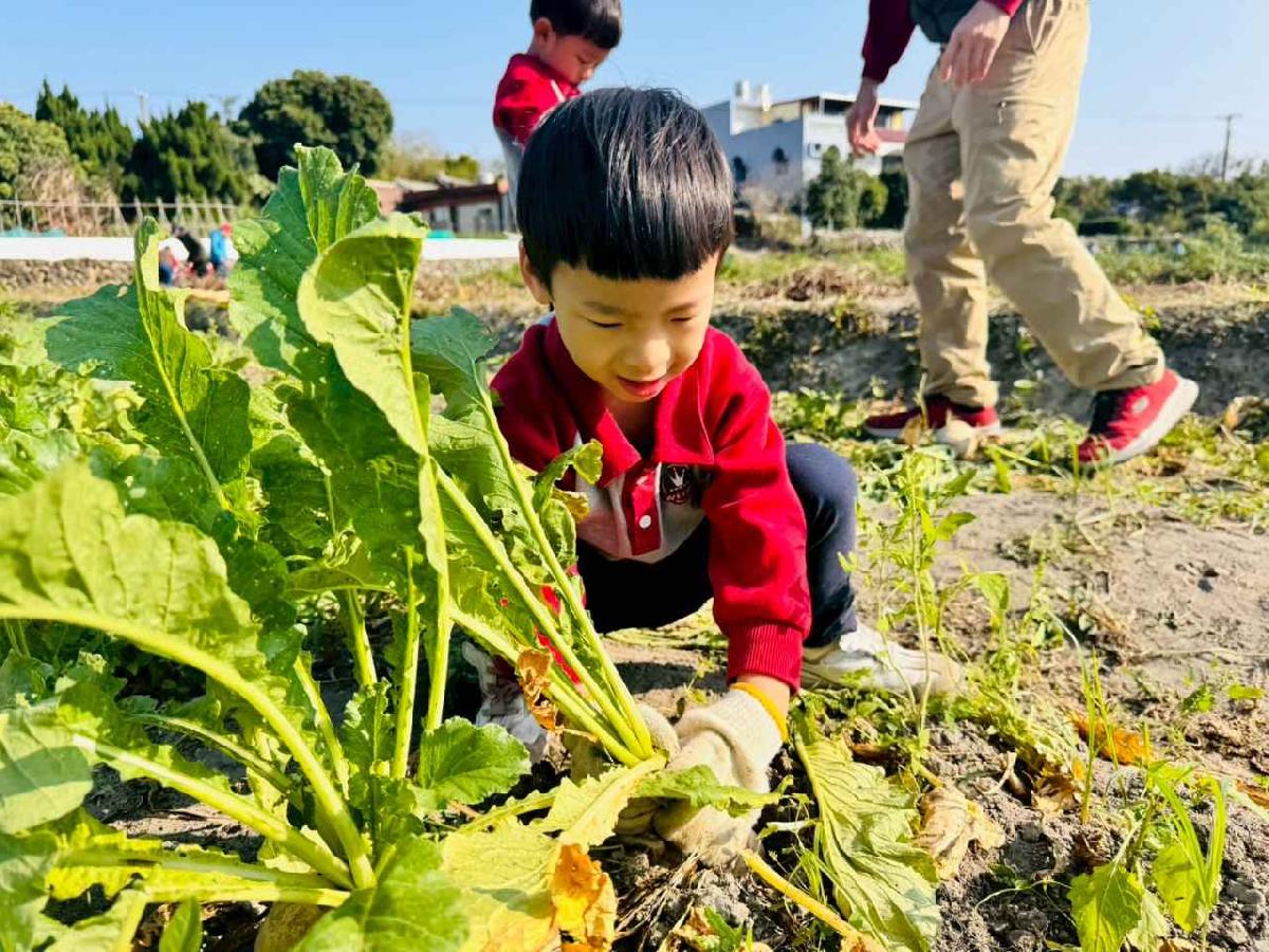 line_album_永哥農莊_260109_344