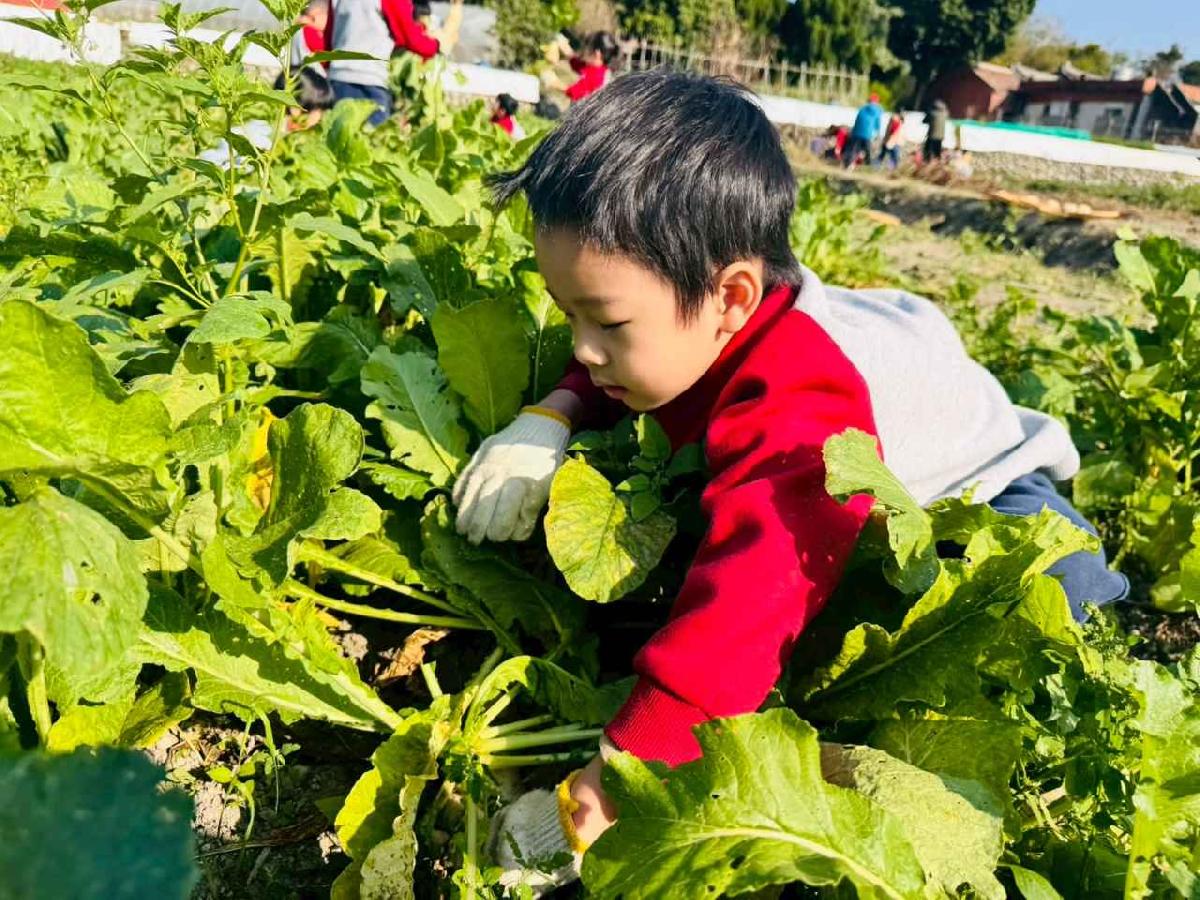 line_album_永哥農莊_260109_347