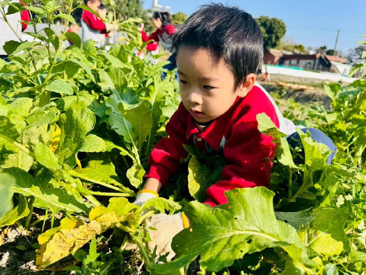 line_album_永哥農莊_260109_350