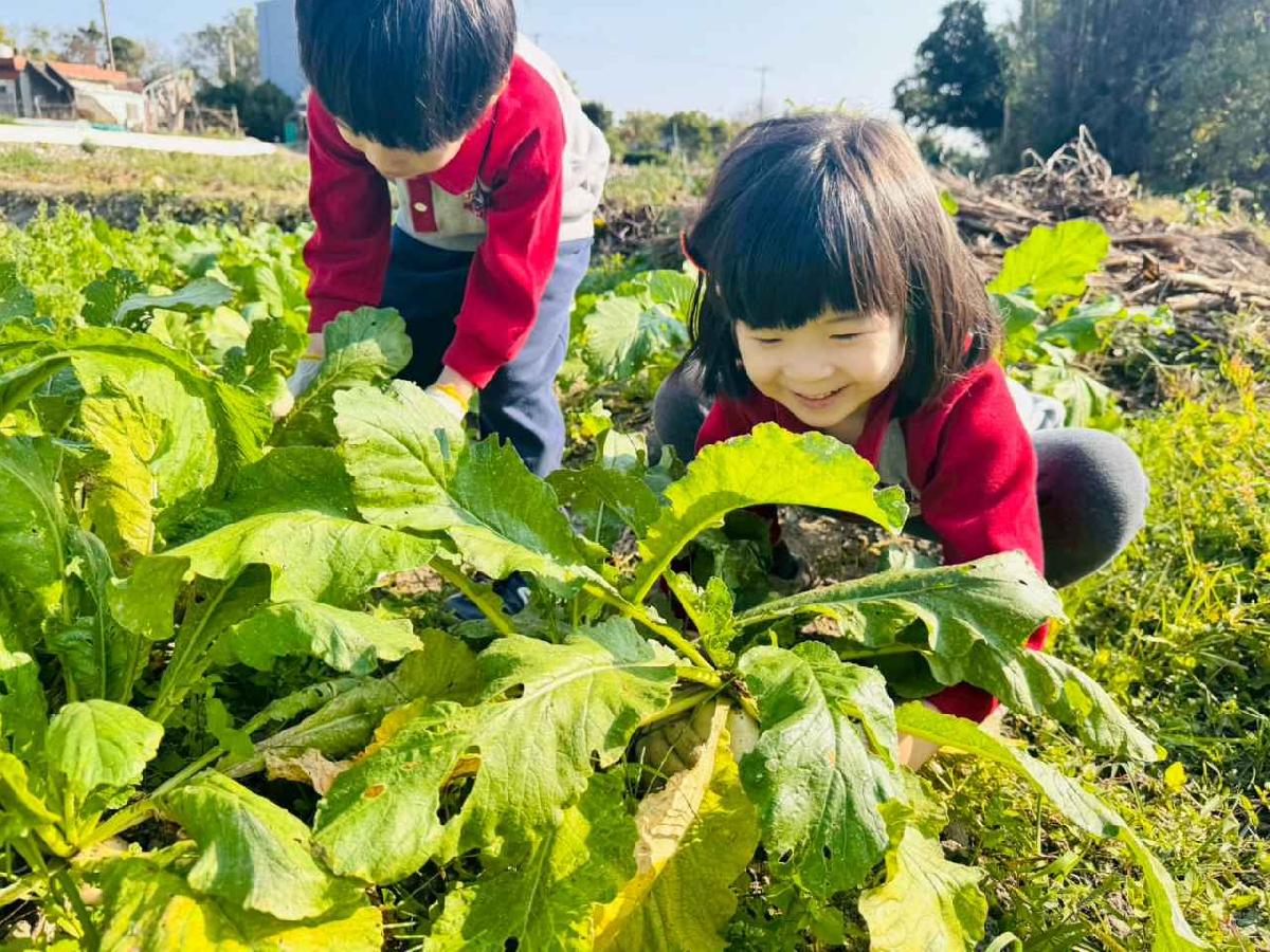 line_album_永哥農莊_260109_352