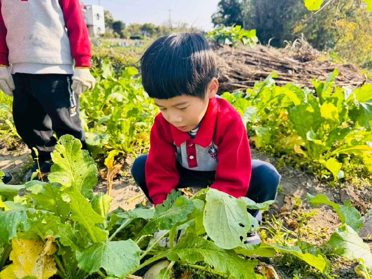 line_album_永哥農莊_260109_362