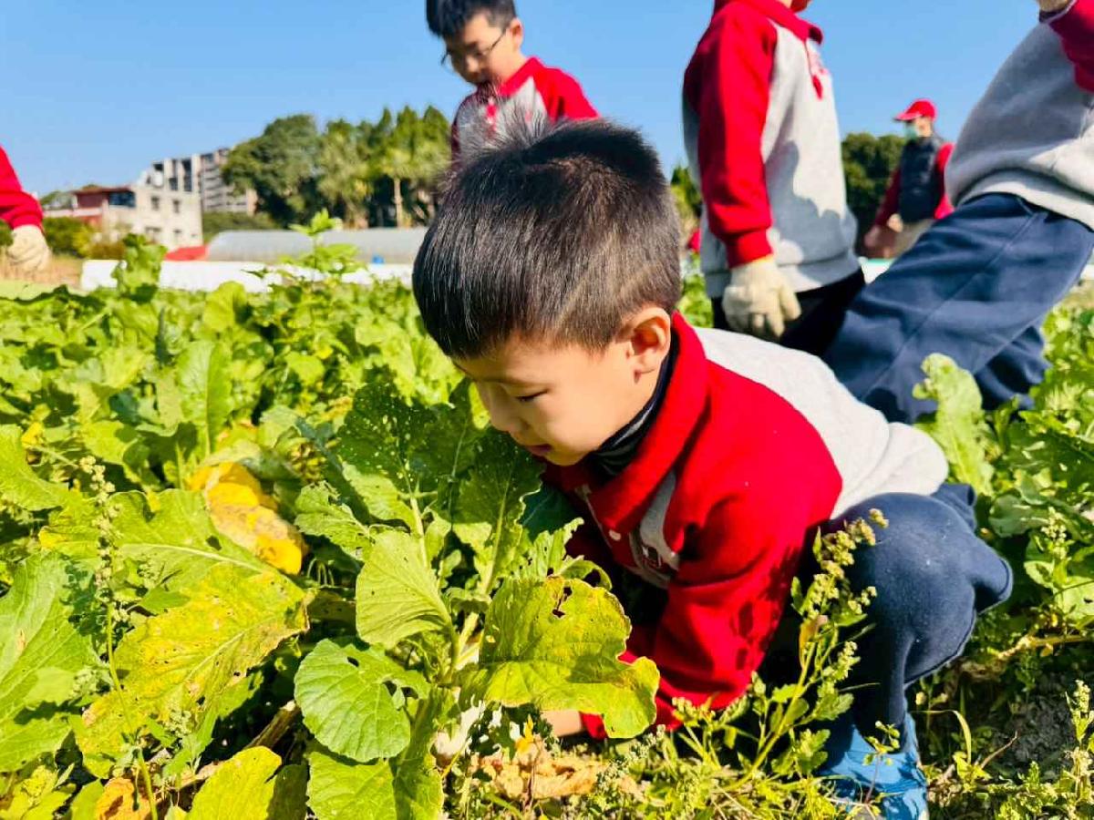 line_album_永哥農莊_260109_368