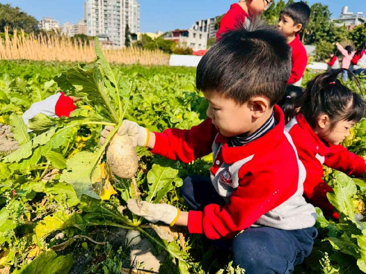 line_album_永哥農莊_260109_370