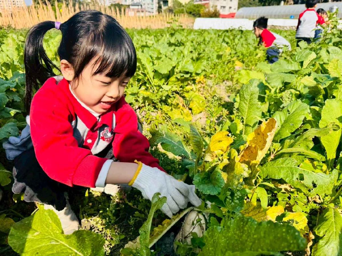 line_album_永哥農莊_260109_375