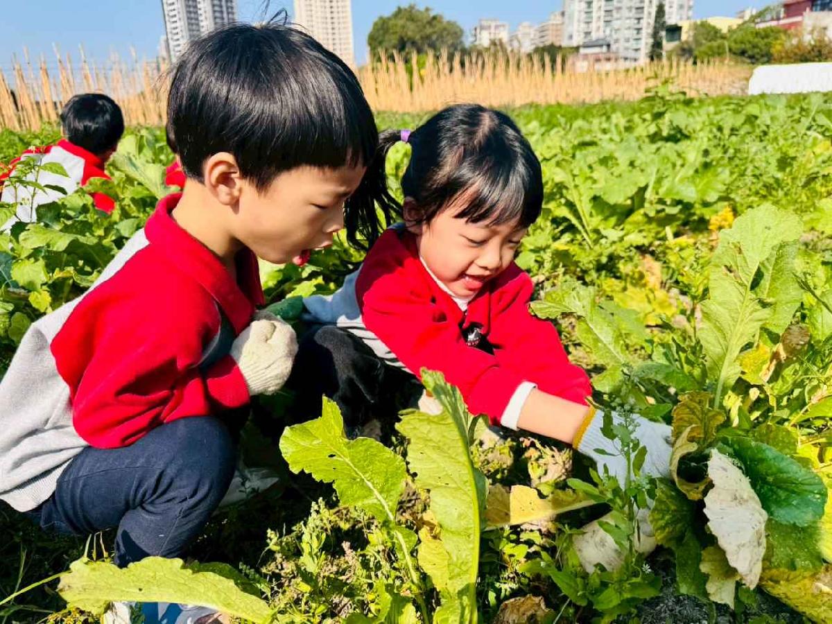 line_album_永哥農莊_260109_380