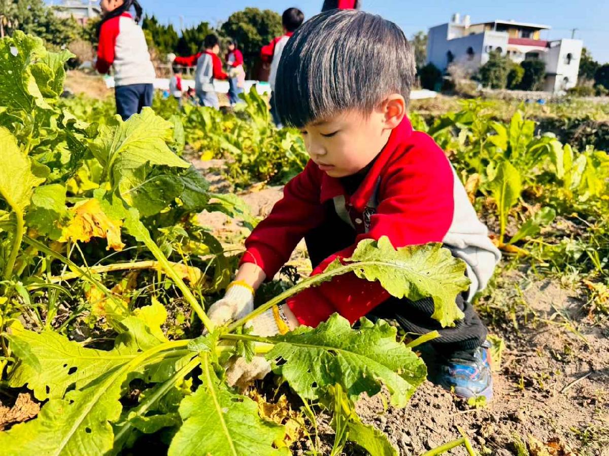 line_album_永哥農莊_260109_384