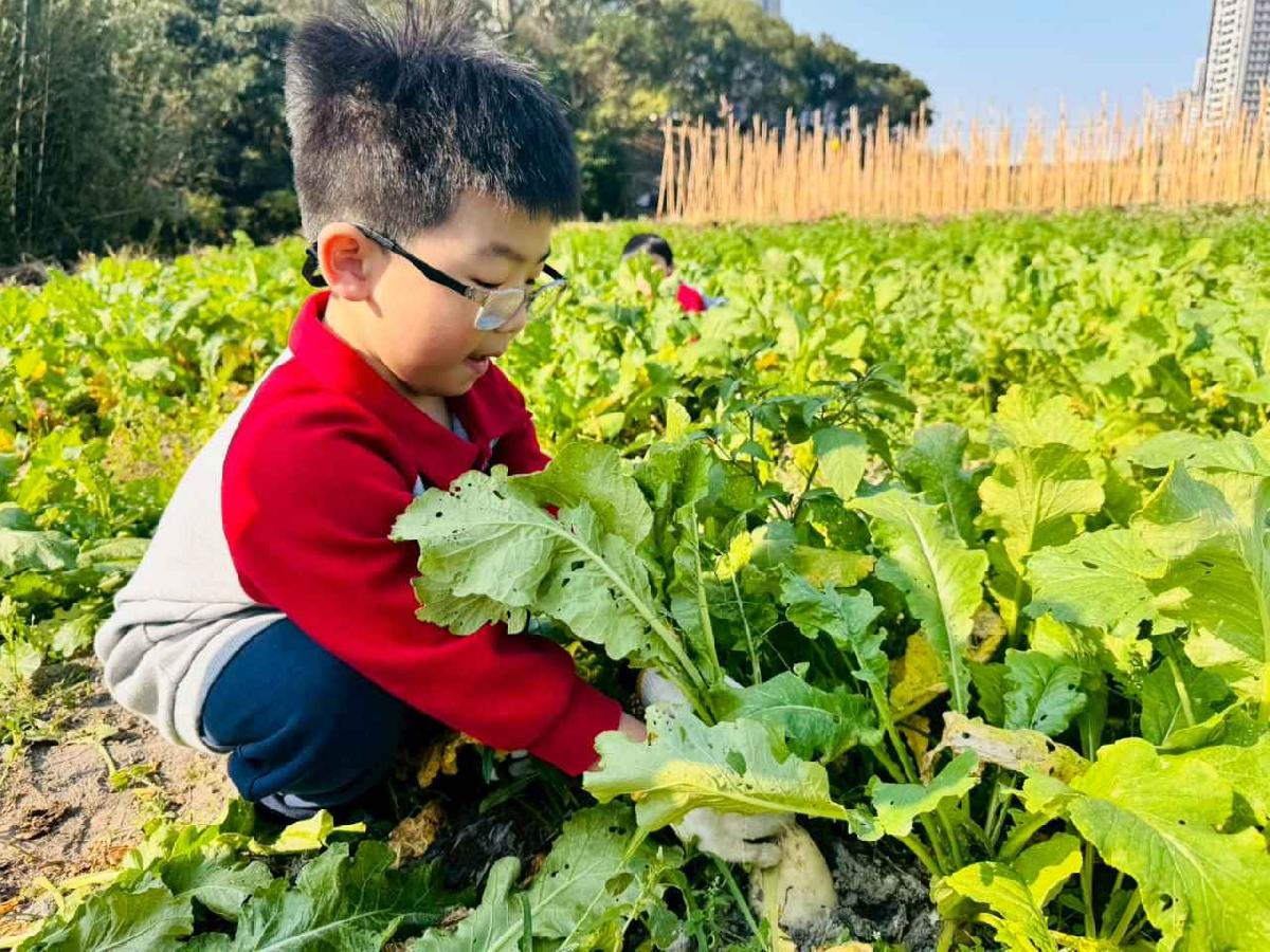 line_album_永哥農莊_260109_386