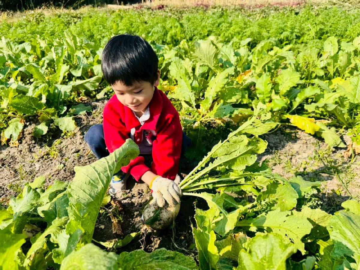 line_album_永哥農莊_260109_391