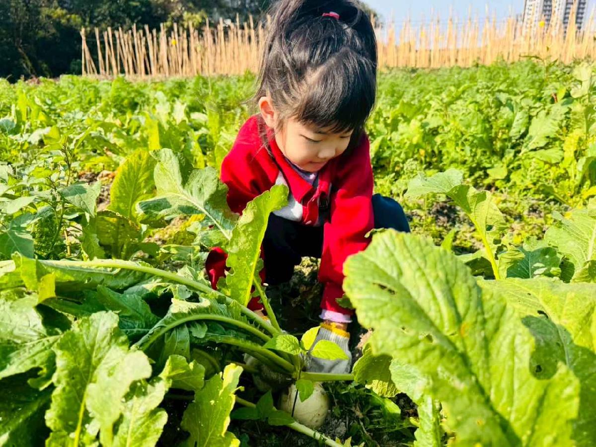 line_album_永哥農莊_260109_403