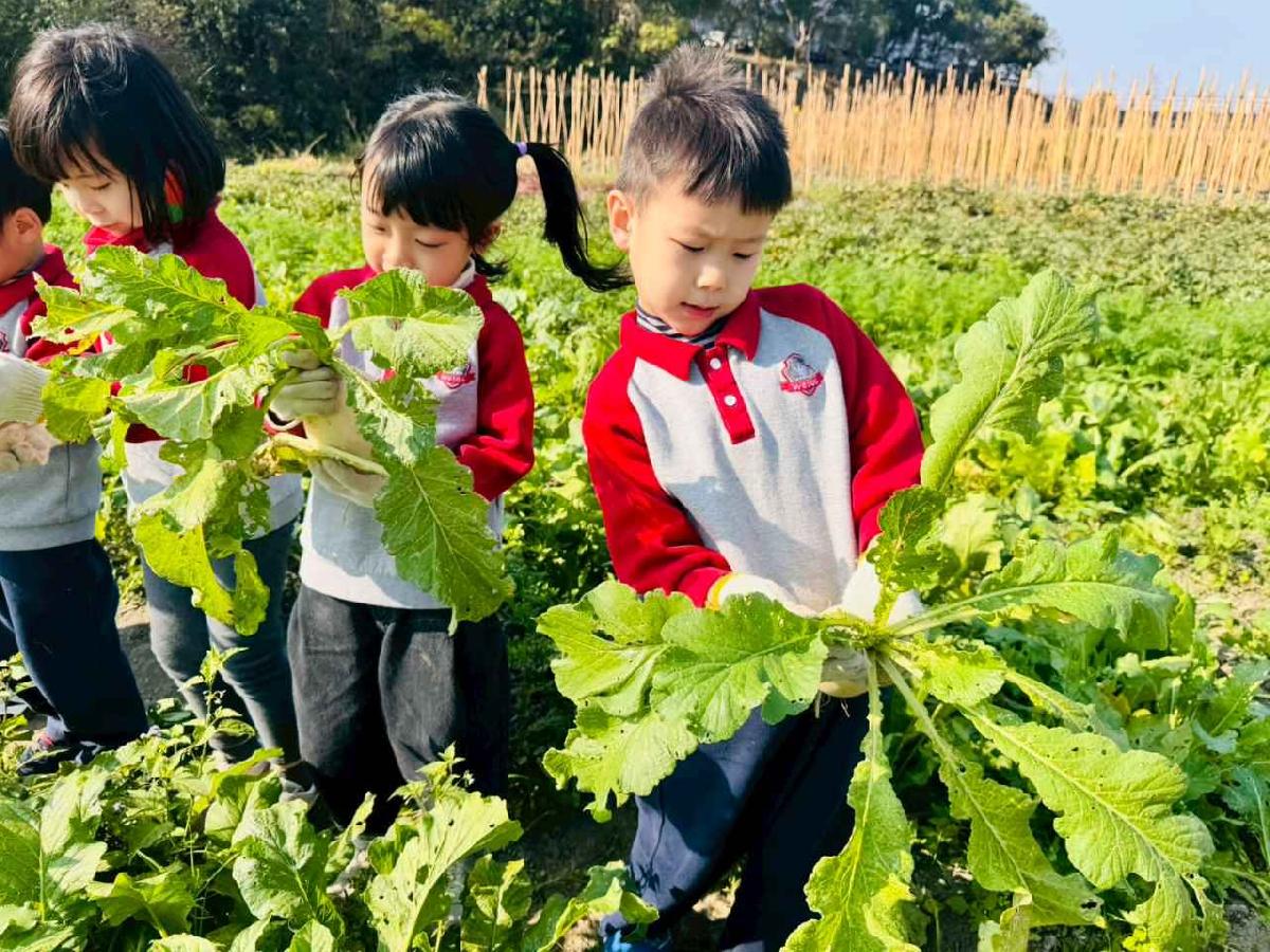 line_album_永哥農莊_260109_413