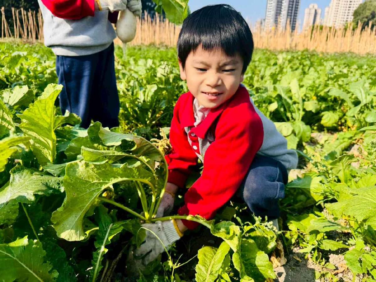 line_album_永哥農莊_260109_416