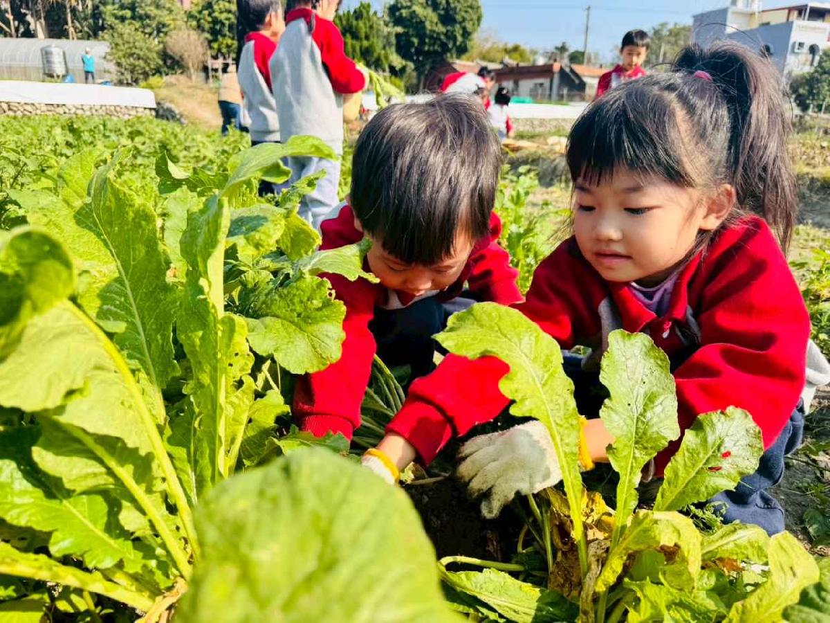 line_album_永哥農莊_260109_421