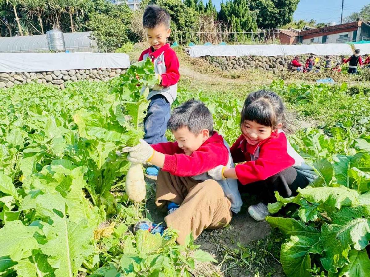 line_album_永哥農莊_260109_443